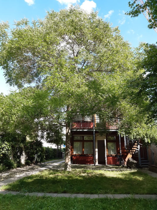 selbe Räumlichkeiten heute